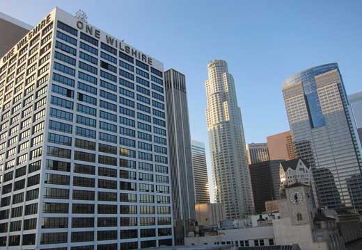 ��ɼ����������